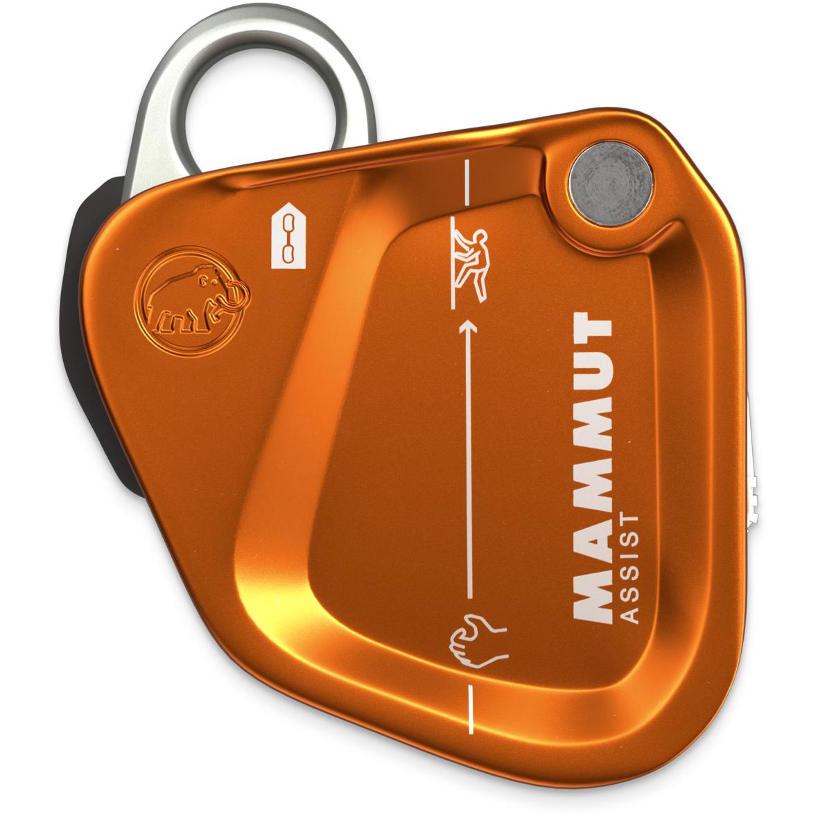 Assist Belay Resistor Sicherungsgerät Gold_7041 | one size