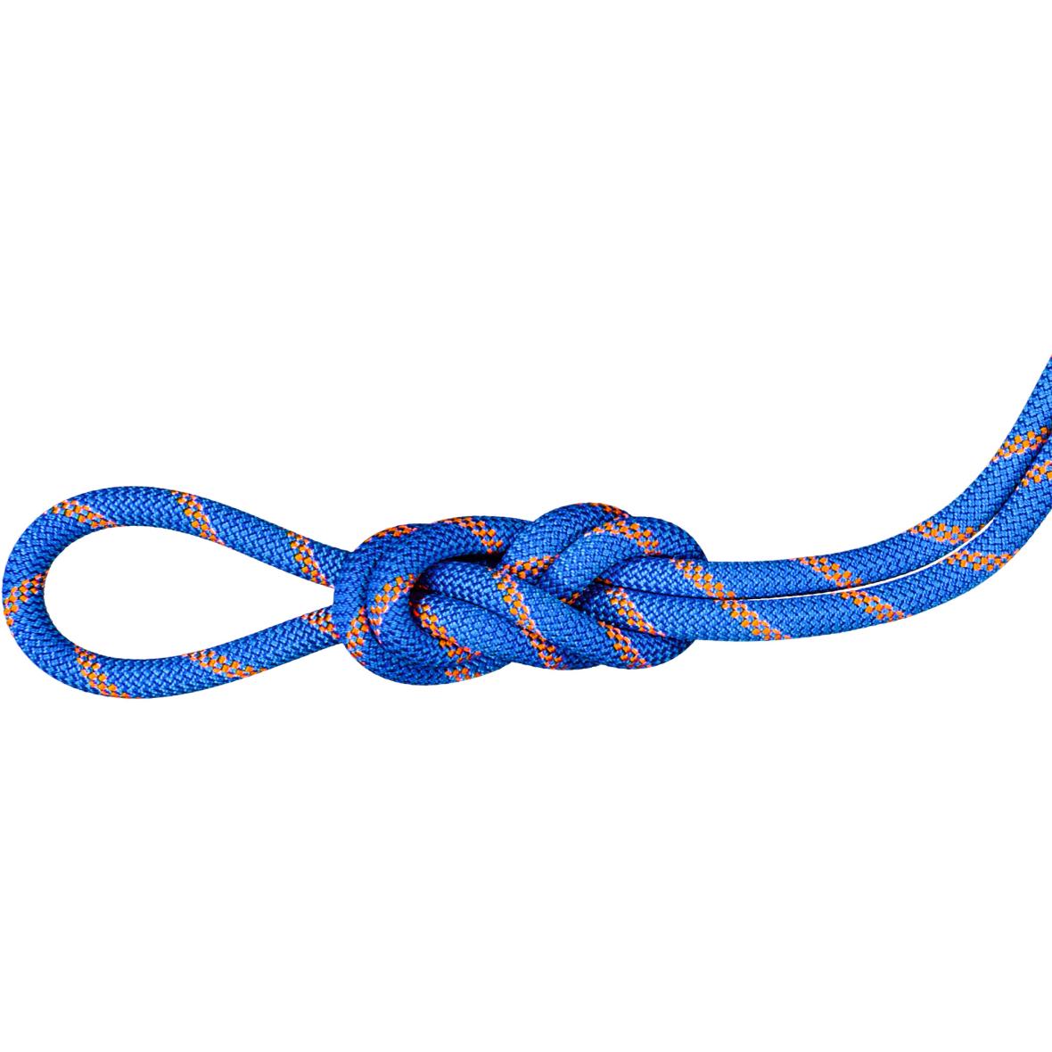 Mammut 9.0 Alpine Sender Dry Einfachseil Unisex ( Hellblau 30)