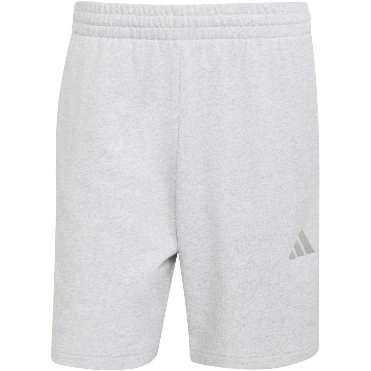 Kit Small Logo  Herren Shorts Hellgrau_000__LGREYH | XL/7