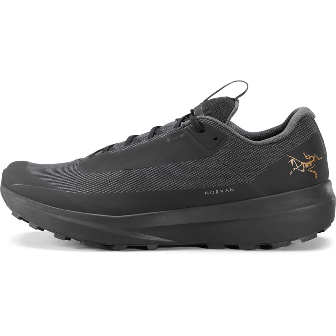 Norvan LD 4 GORE-TEX Herren Trailrunningschuhe Schwarz_001704 | 9