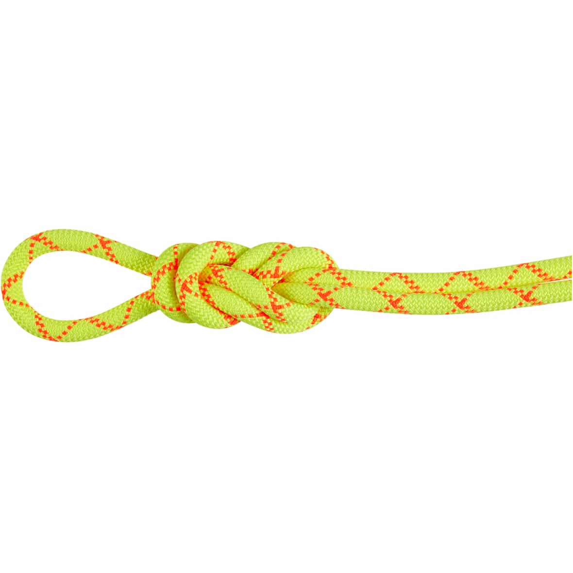 9.5 Alpine Core Protect Dry 30 m Einfachseil Hellgrün_1287 | 30
