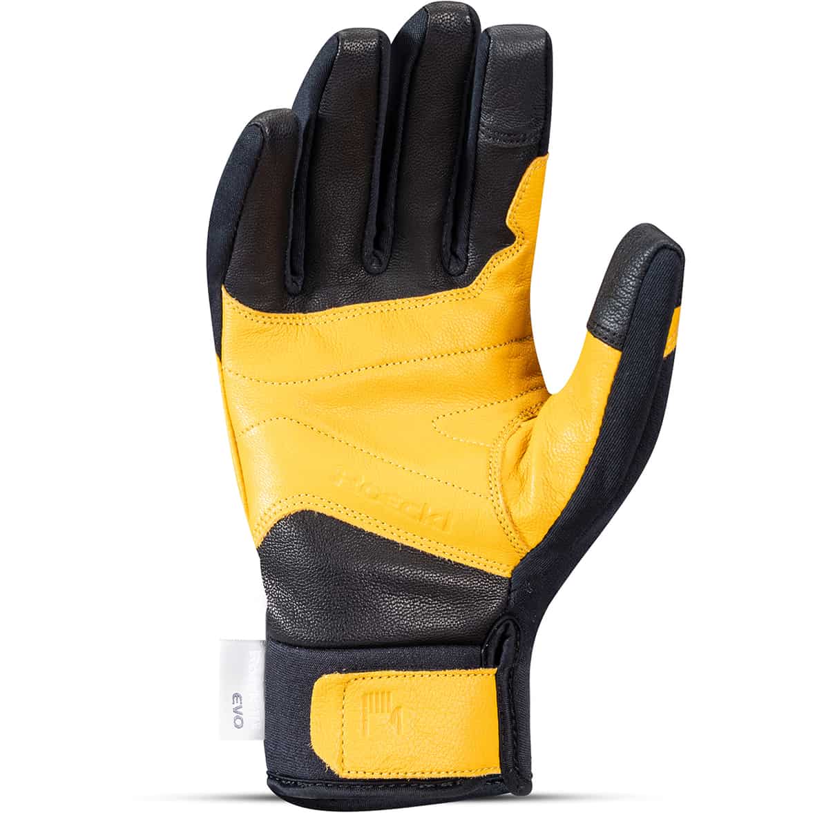 Kasseteich Fingerhandschuhe Schwarz_9212 | 6,5