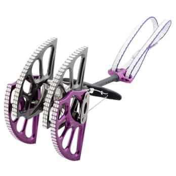 Auswahl Flieder_PURPLE