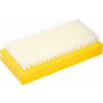 Neutral_0000__NEUTRAL