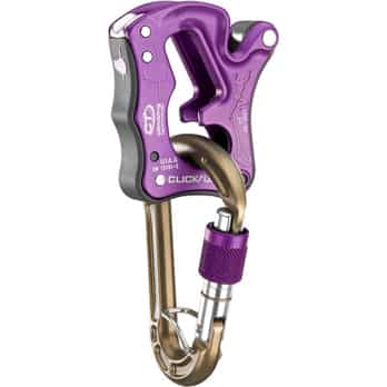 Flieder_PURPLE