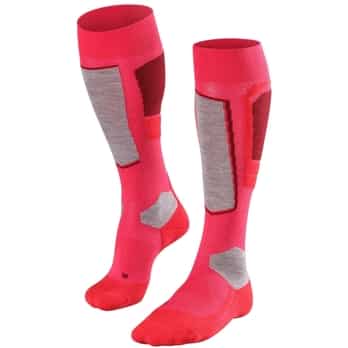 Auswahl Rosa_8680
