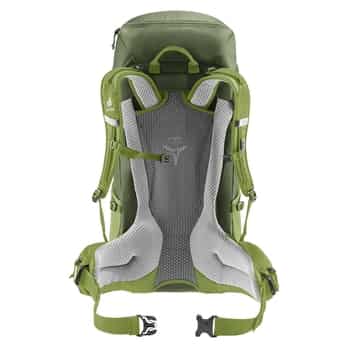 Braun_2289