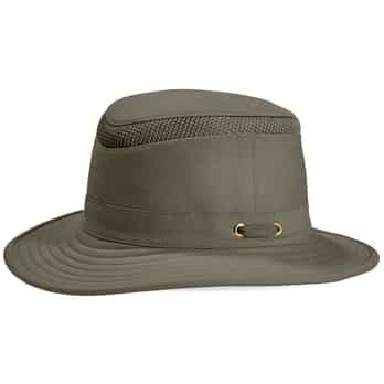 Auswahl Oliv_OLIVE