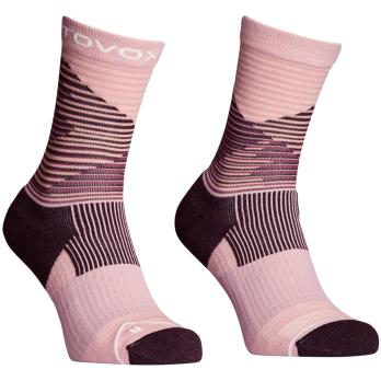 Auswahl Rosa_O00260