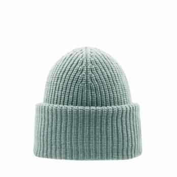 Auswahl Mint_10__FROSTY MINT