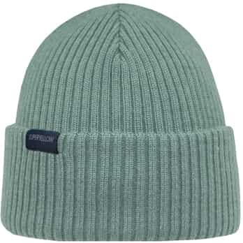 Auswahl Mint_12__FROSTY MINT