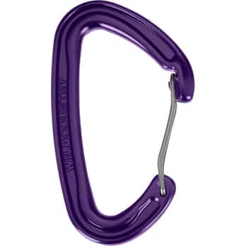 Auswahl Fuchsia_0065