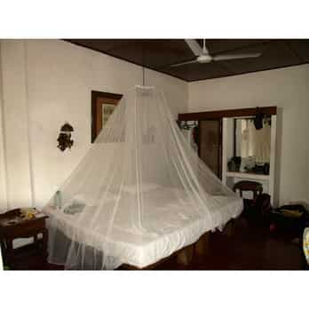 Auswahl Neutral_NEUTRAL