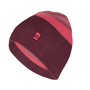 Auswahl Beere_253