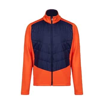 Auswahl Orange_K0081801