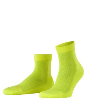Auswahl Lime_1325