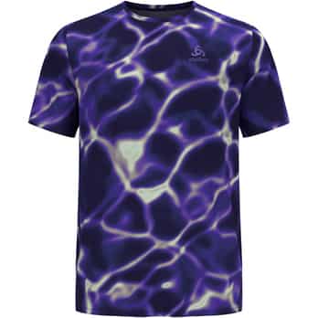 Auswahl Violett_21121