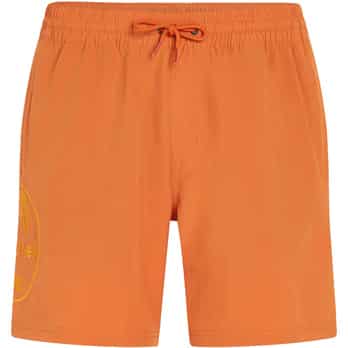 Auswahl Orange_12528