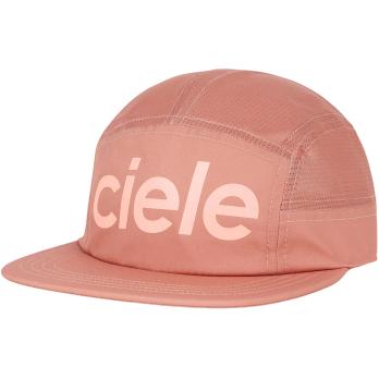 Auswahl Rosa_PK007