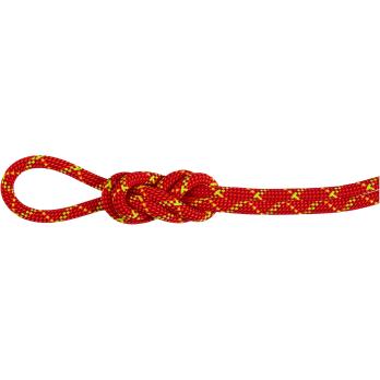 Auswahl Rot_3788