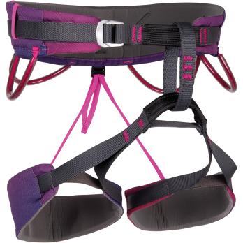 Auswahl Violett_VIOLET