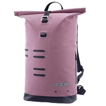 Auswahl Rosa_ASH ROSE