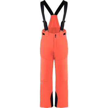 Auswahl Orange_K0095201