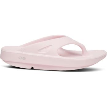 Auswahl Rosa_PRIMRO