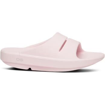 Auswahl Rosa_PRIMRO