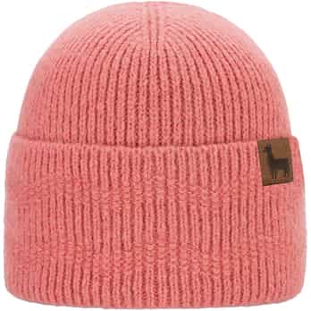 Auswahl Rosa_002__ROSE
