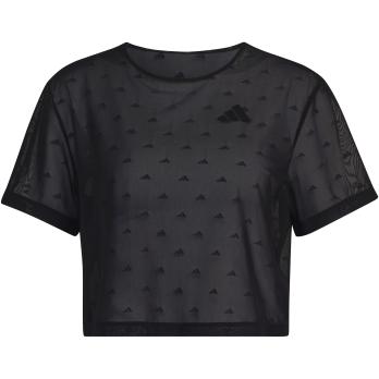 Auswahl Schwarz_000__BLACK