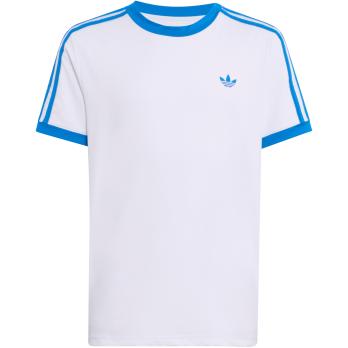 Auswahl Weiß_000__WHITE