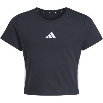 Auswahl Schwarz_000__BLACK/WHITE