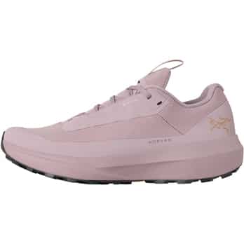 Auswahl Rosa_023652