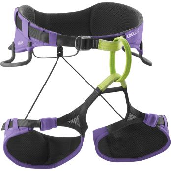 Auswahl Violett_330