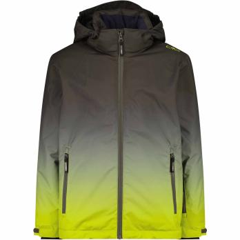 Auswahl Oliv_E943