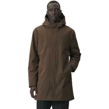 Auswahl Oliv_OLIVE