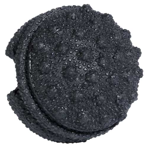 Blackroll Twister Faszientrainer bei Sport Schuster München