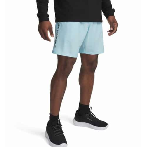 Under Armour Tech Woven Wordmark Herren Shorts bei Sport Schuster München