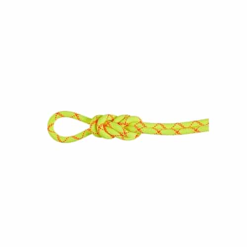 Mammut 9.5 Alpine Core Protect Dry Rope bei Sport Schuster München