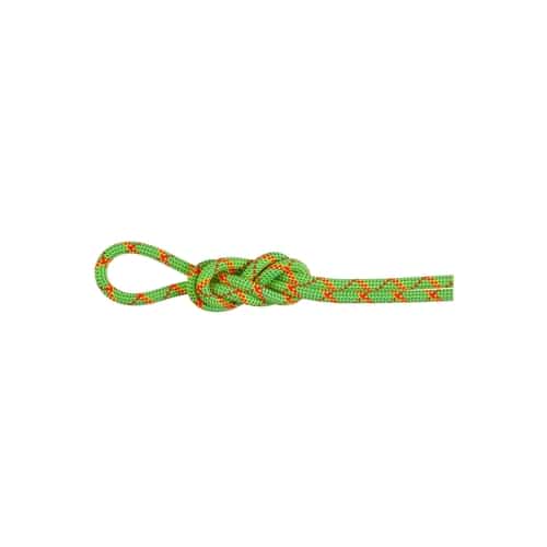 Mammut 8.0 Alpine Core Protect Dry Rope bei Sport Schuster München
