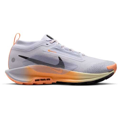 Nike Pegasus Trail 5 GTX Damen Trailrunningschuhe bei Sport Schuster München