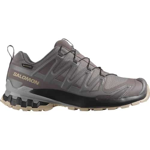 Salomon XA Pro 3D V9 GTX  Damen Multifunktionsschuhe bei Sport Schuster München