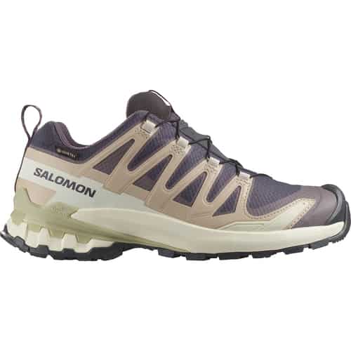 Salomon XA Pro 3D V9 GTX Damen Multifunktionsschuhe bei Sport Schuster München