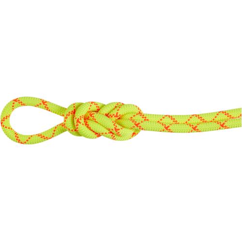 Mammut 9.5 Alpine Core Protect Dry Rope 40m Einfachseil bei Sport Schuster München