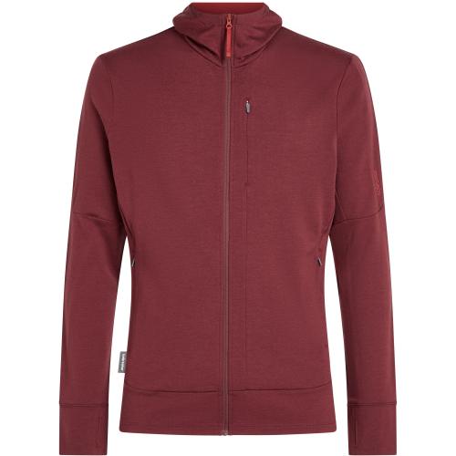 Icebreaker Merino 260 Quantum Herren Hoodie bei Sport Schuster München
