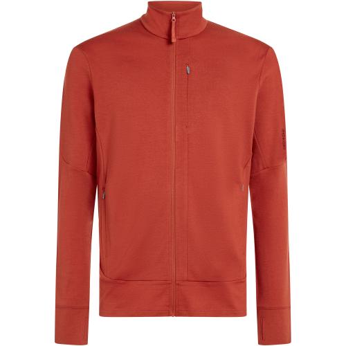 Icebreaker Merino 260 Quantum Herren Hoodie bei Sport Schuster München