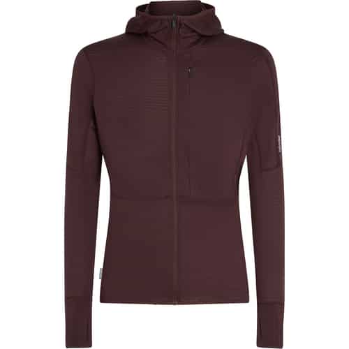 Icebreaker 200 Descender Herren Hoodie bei Sport Schuster München