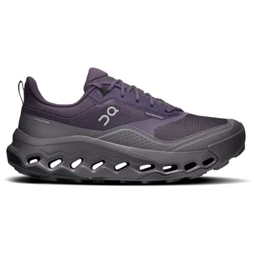 On Cloudhorizon 2 Waterproof Damen Multifunktionsschuhe bei Sport Schuster München