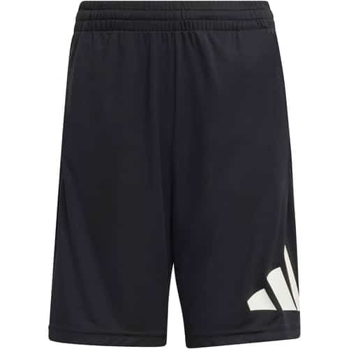 adidas Train Essentials Big Logo  Kinder Shorts bei Sport Schuster München